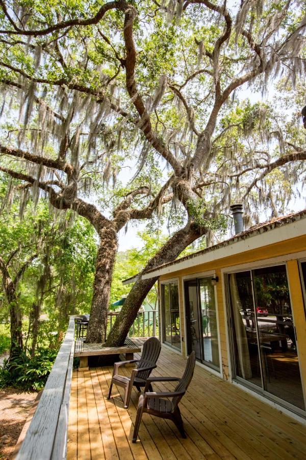 Riverfront Treetop Bungalow Homosassa Exteriör bild