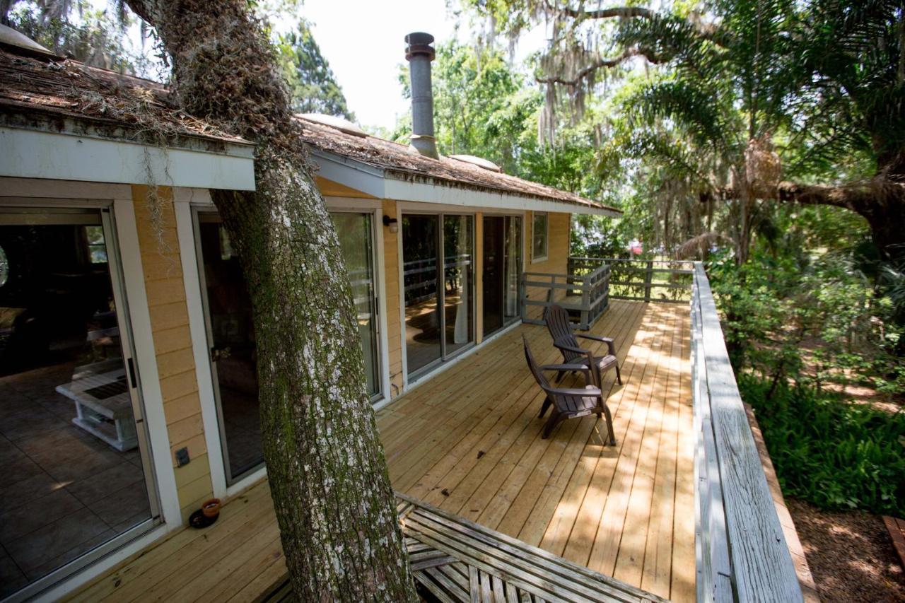 Riverfront Treetop Bungalow Homosassa Exteriör bild